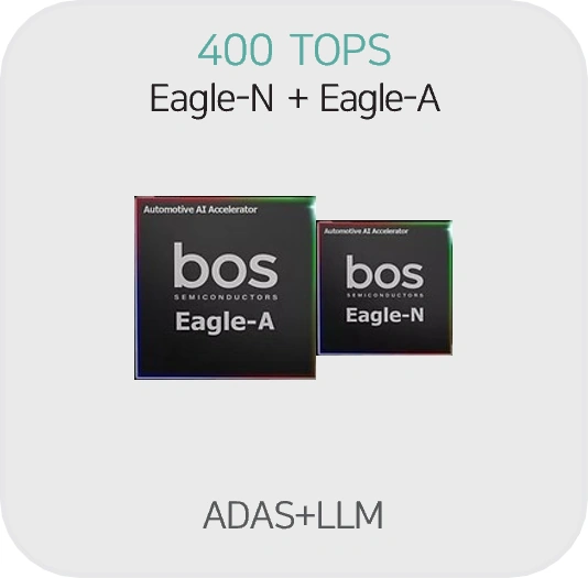 Eagle-N